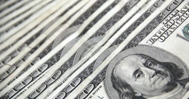 Dólar hoy y dólar blue, EN VIVO: a cuánto cotiza el oficial y cuál es el precio del paralelo este viernes 19 de diciembre, minuto a minuto