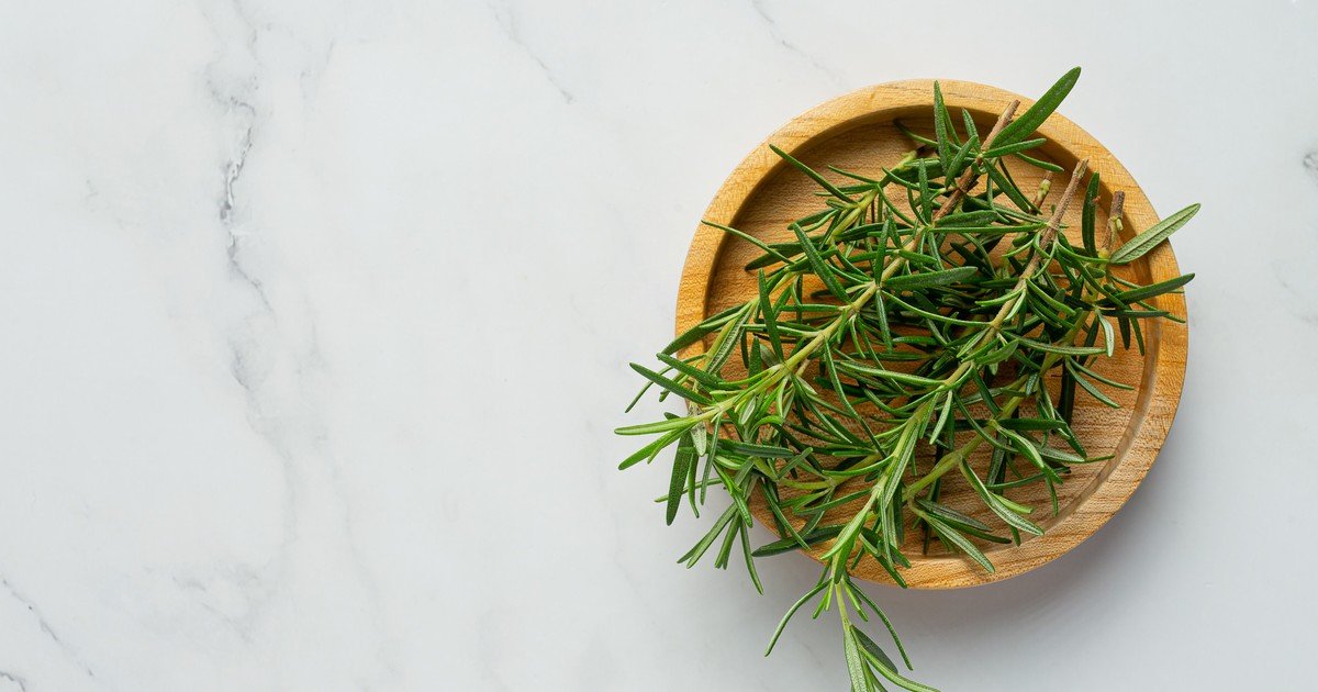 Dónde colocar una planta de romero para activar la riqueza en tu casa, según el Feng Shui