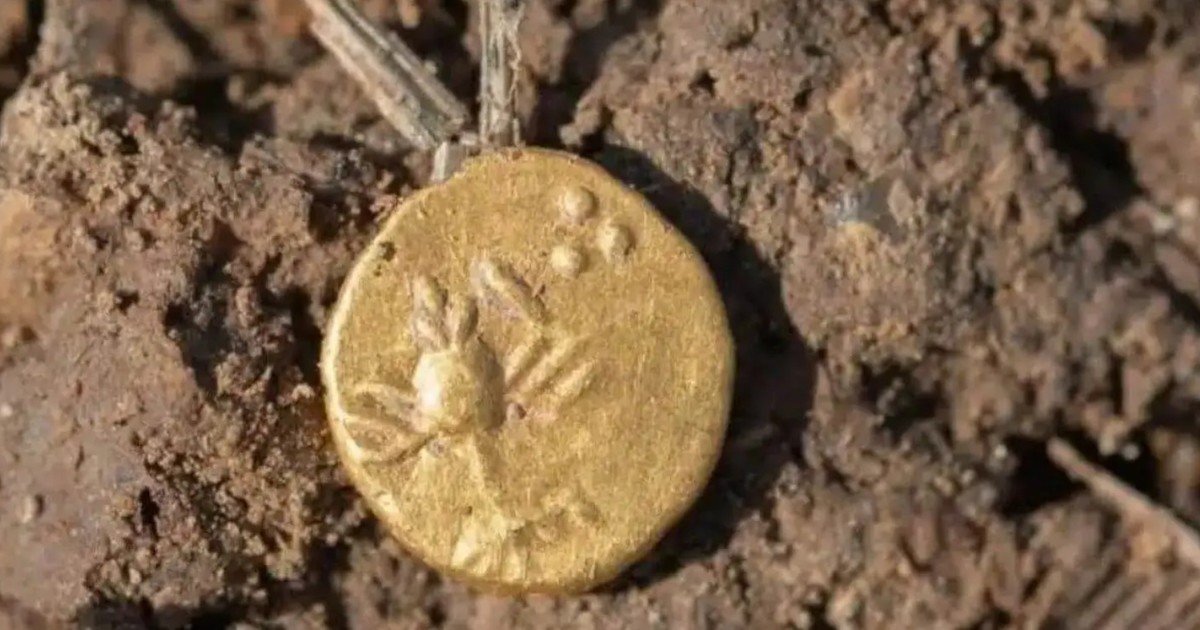 Descubrieron un tesoro de "valor excepcional" en un remoto lugar de Europa
