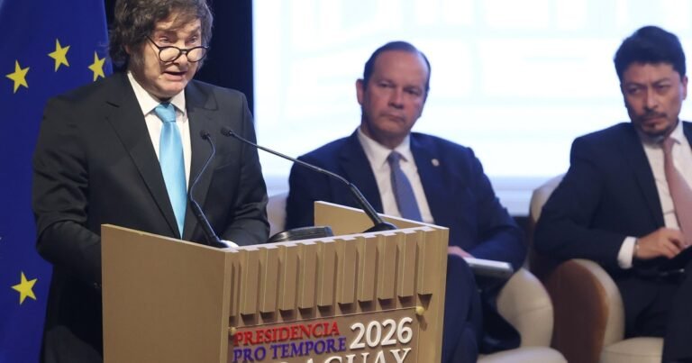 Pro, contras, dudas y perspectivas sobre el acuerdo del Mercosur con la Unión Europea