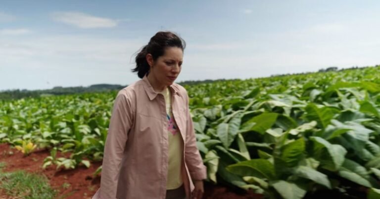 Todo sobre “HUMO”, el documental de Lucía Salinas que expone el negocio detrás del contrabando de cigarrillos