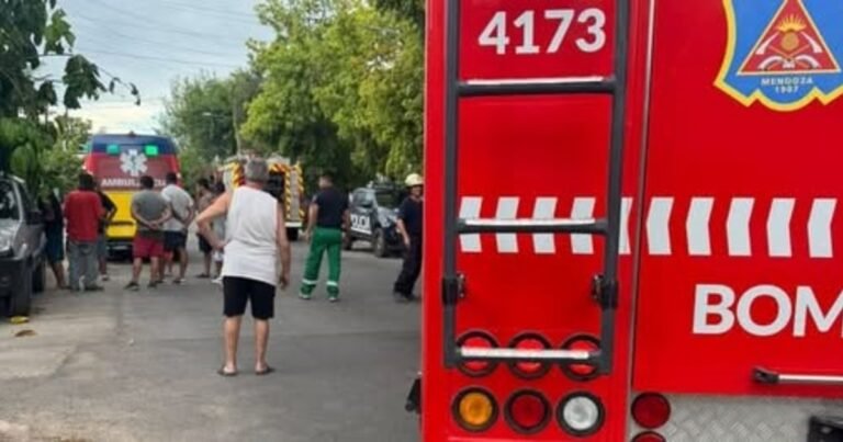 Tensión y milagro en Mendoza: se tiró a un canal para salvar a su hermano de 5 años, quedó 10 minutos bajo el agua y lograron reanimarlo