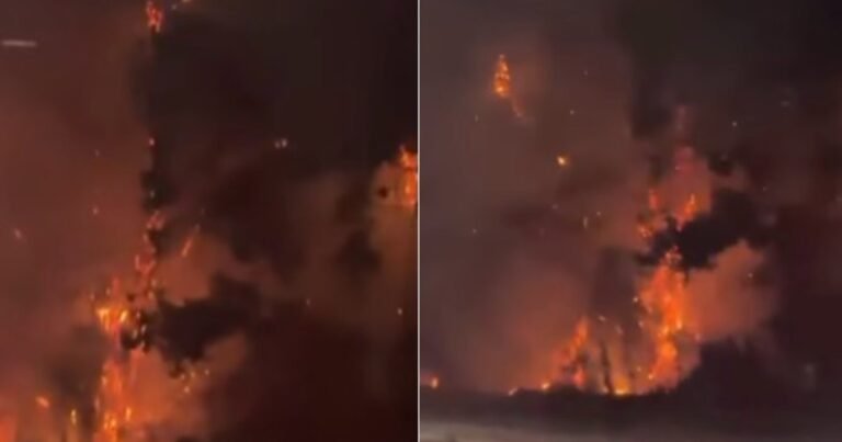 Incendio en Ezeiza: las llamas arrasaron una plantación de trigo cerca del Aeropuerto y el Centro Atómico