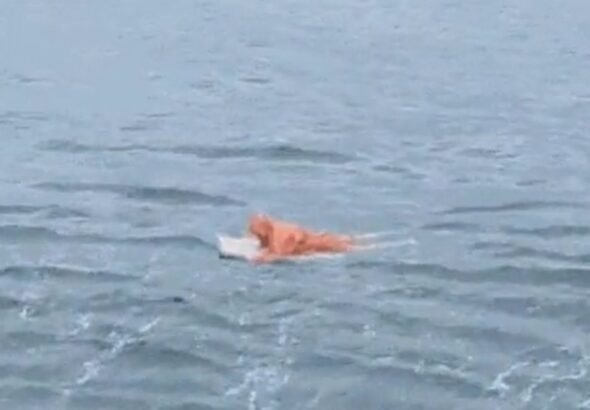 Un hombre fue rescatado tras pasar 17 horas a la deriva en el mar: se aferró a la puerta de una heladera para sobrevivir