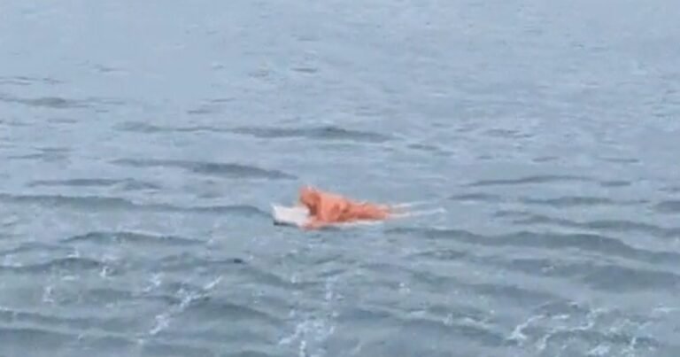 Un hombre fue rescatado tras pasar 17 horas a la deriva en el mar: se aferró a la puerta de una heladera para sobrevivir