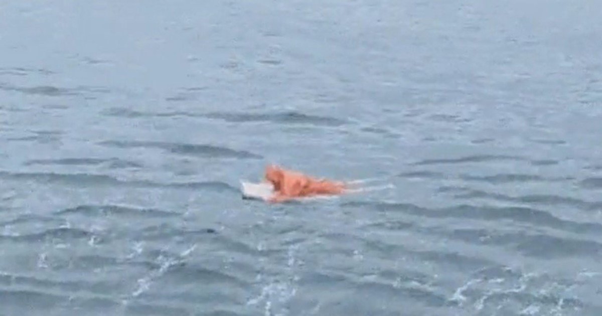 Un hombre fue rescatado tras pasar 17 horas a la deriva en el mar: se aferró a la puerta de una heladera para sobrevivir