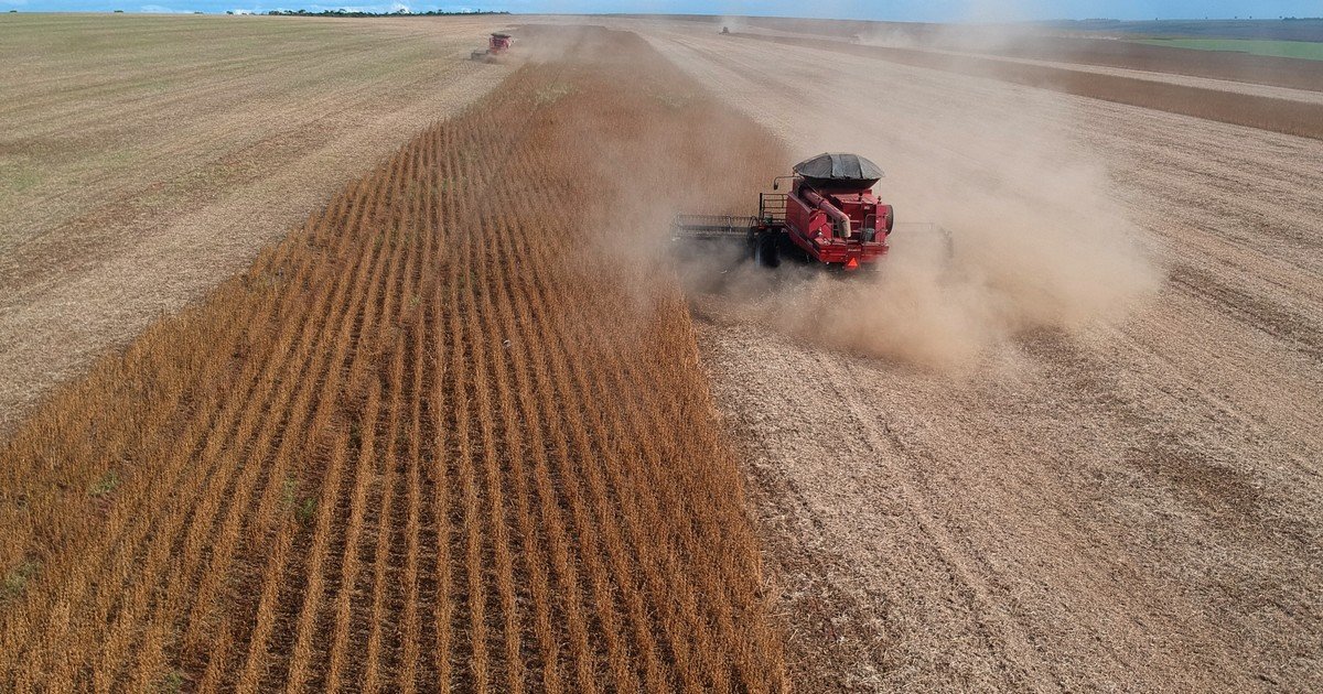La cosecha de granos de Brasil supera todos sus récords históricos