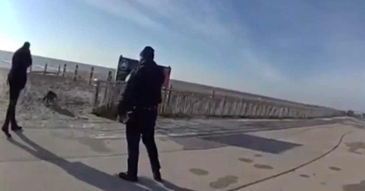 Tras atacar a un grupo de personas, un mapache "feroz" fue asesinado por la policía: el impactante video