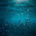 El misterio del "oxígeno oscuro" a 4.000 metros de profundidad: inicia la misión científica para descubrir qué lo origina