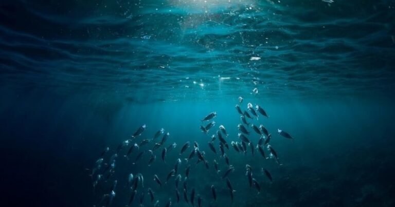 El misterio del "oxígeno oscuro" a 4.000 metros de profundidad: inicia la misión científica para descubrir qué lo origina