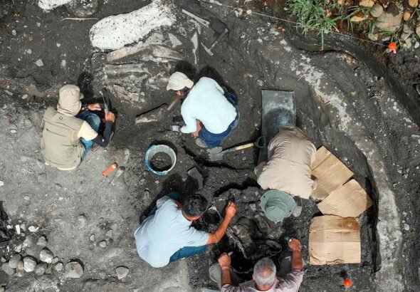 Hallan fósiles de un perezoso gigante de más de 10.000 años de antigüedad en Costa Rica