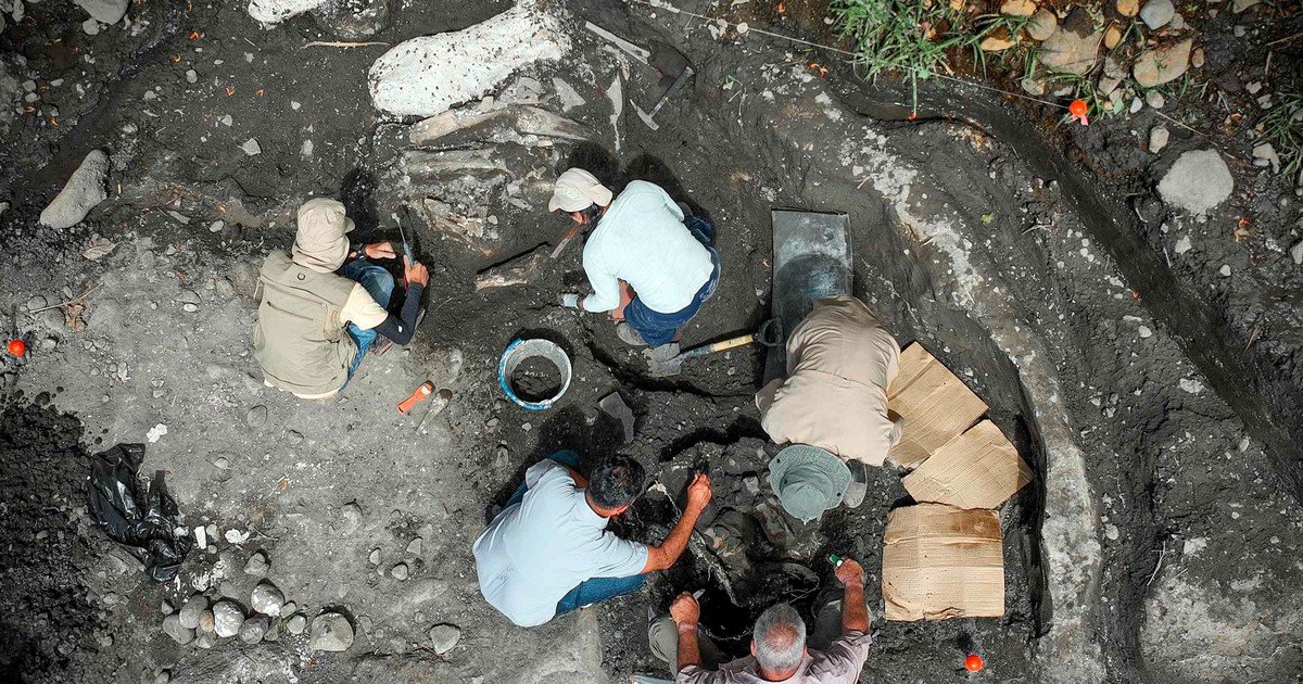 Hallan fósiles de un perezoso gigante de más de 10.000 años de antigüedad en Costa Rica