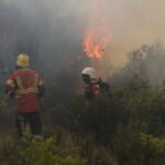 Chubut: detectaron tres nuevos focos de incendio en el parque nacional Los Alerces