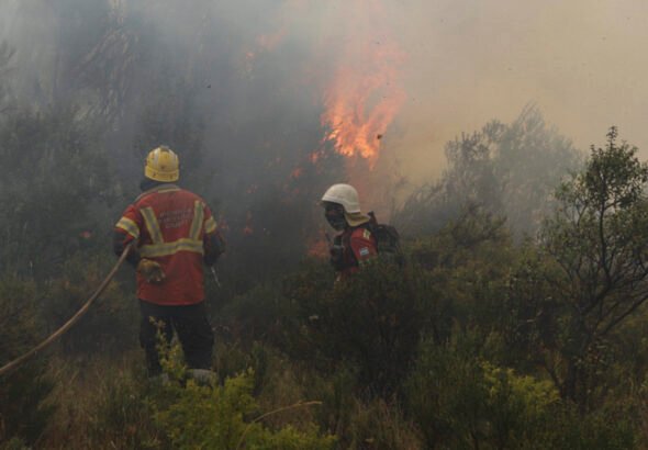 Chubut: detectaron tres nuevos focos de incendio en el parque nacional Los Alerces