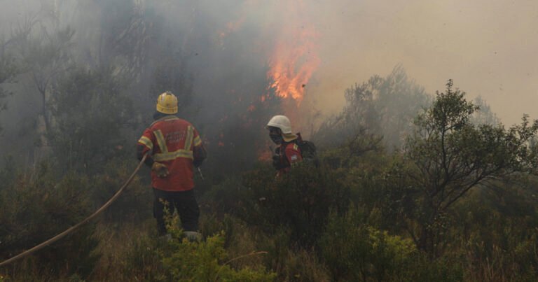 Chubut: detectaron tres nuevos focos de incendio en el parque nacional Los Alerces