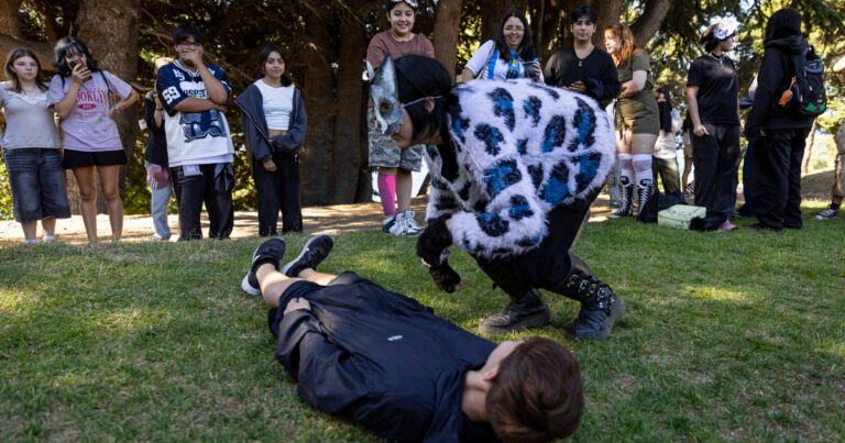 Therians y Furrys: cuáles son las diferencias y cómo se identifican