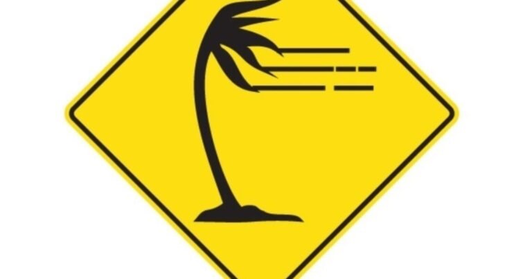 Qué significa esta nueva señal de tránsito con una palmera sobre un fondo amarillo