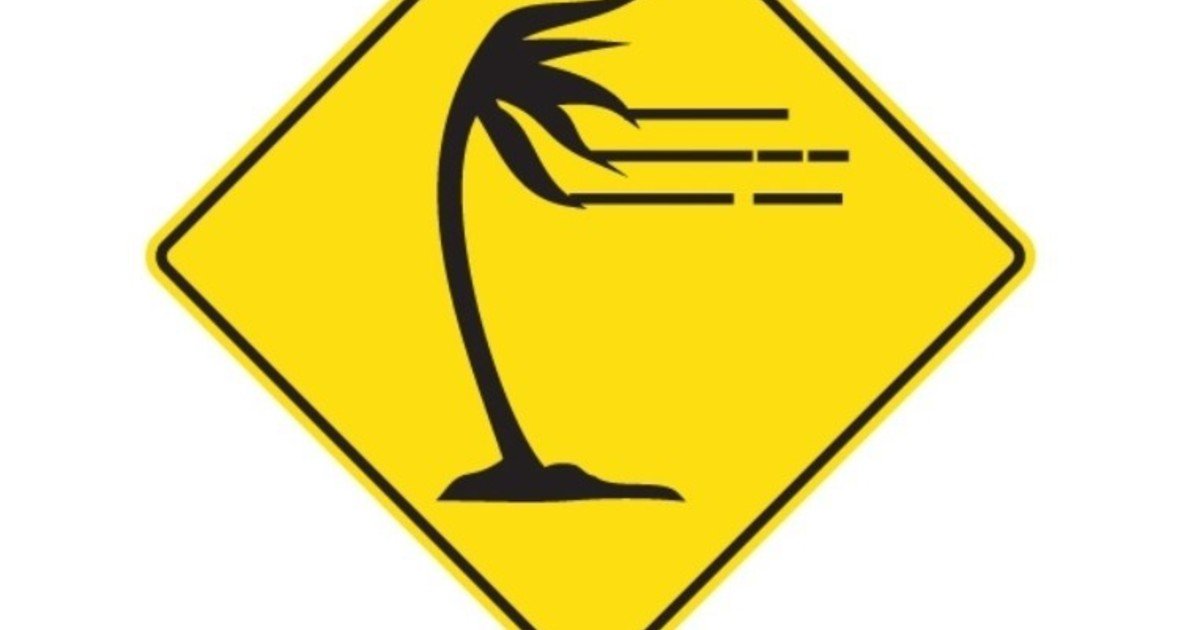 Qué significa esta nueva señal de tránsito con una palmera sobre un fondo amarillo