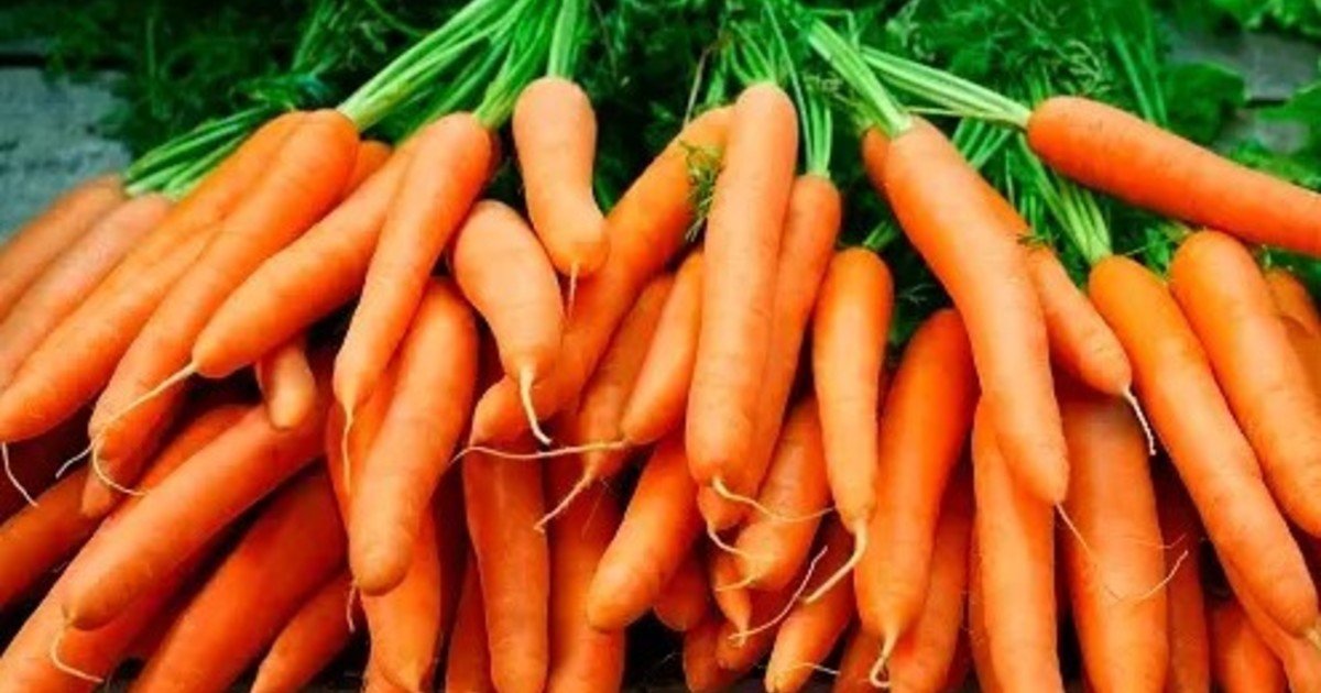 Esta ensalada de zanahoria es un éxito en TikTok: la simple receta que es furor en Estados Unidos