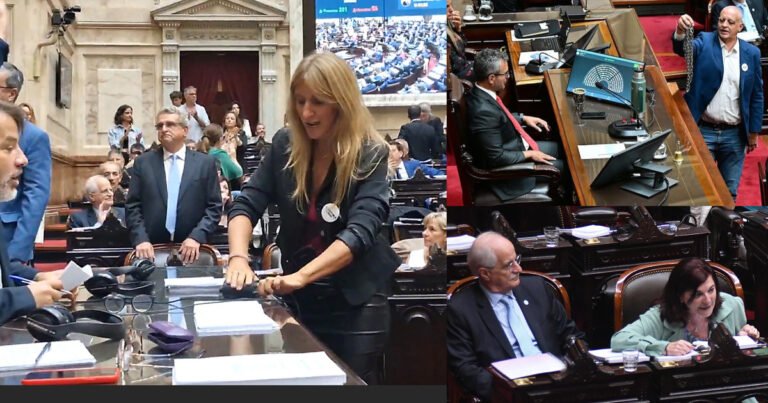 Decadencia de La Cámpora y otro triunfo de la agrupación Luchemos por la Nuestra