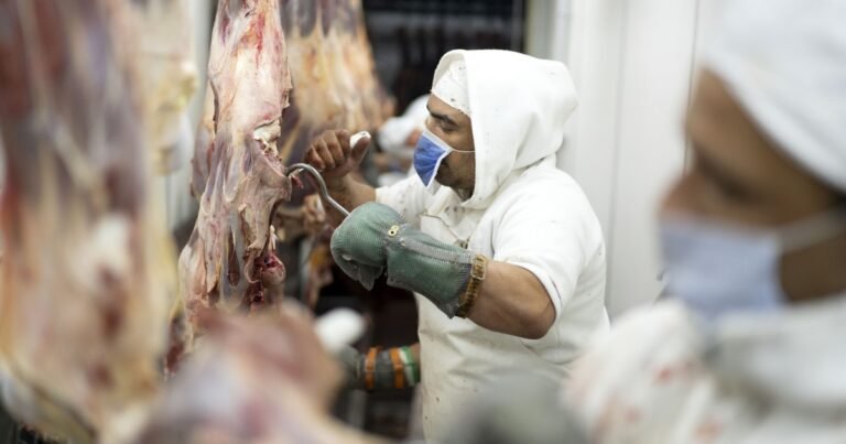 En lo que va de enero, China pagó un 10% más por la carne argentina