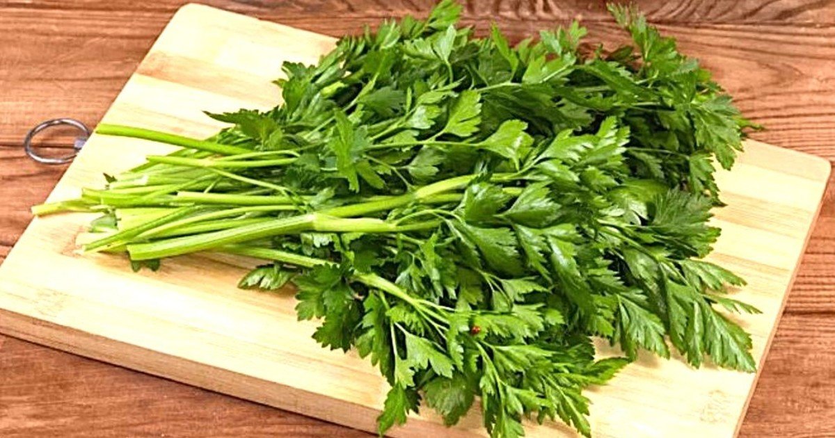 Qué hierba ayuda a eliminar los cálculos renales