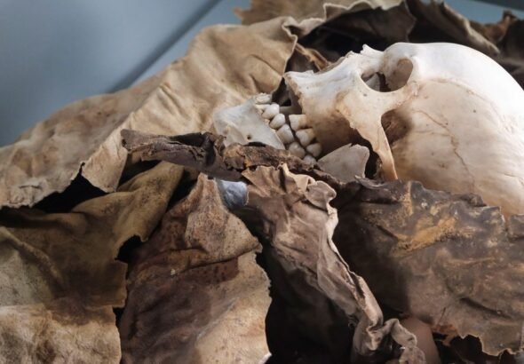 Reconstruyeron el rostro de una mujer de hace 3,67 millones de años y es la muestra de uno de los ancestros más antiguos