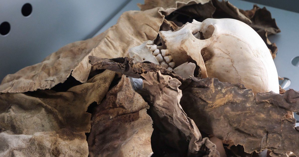 Reconstruyeron el rostro de una mujer de hace 3,67 millones de años y es la muestra de uno de los ancestros más antiguos