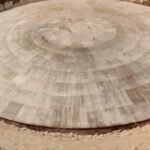 Es una "tumba" radiactiva, tiene una fuga y puede causar una tragedia mayúscula