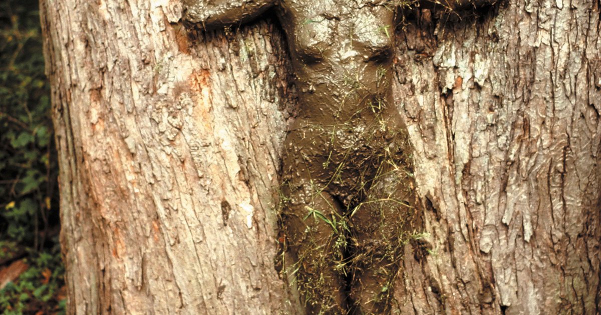 La mujer que anticipó su muerte