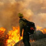 Un año después de los incendios de Los Ángeles, California continúa con la recuperación estatal y el apoyo a la salud conductual