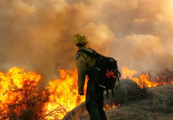 Un año después de los incendios de Los Ángeles, California continúa con la recuperación estatal y el apoyo a la salud conductual