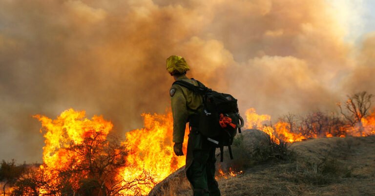 Un año después de los incendios de Los Ángeles, California continúa con la recuperación estatal y el apoyo a la salud conductual