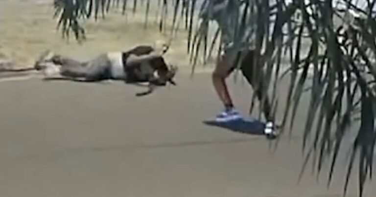 ¿La libertad es también la de morir asesinado por un celular?