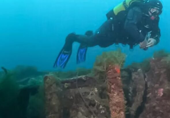 Hallaron en el Mediterráneo un cementerio de naves del siglo VI AC