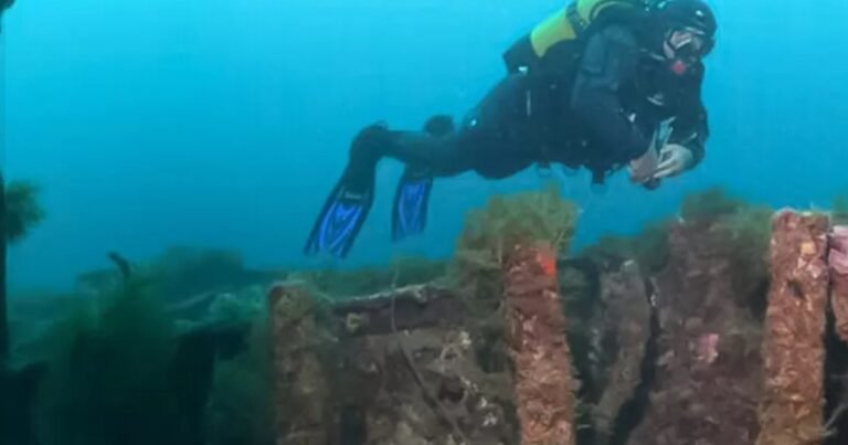 Hallaron en el Mediterráneo un cementerio de naves del siglo VI AC