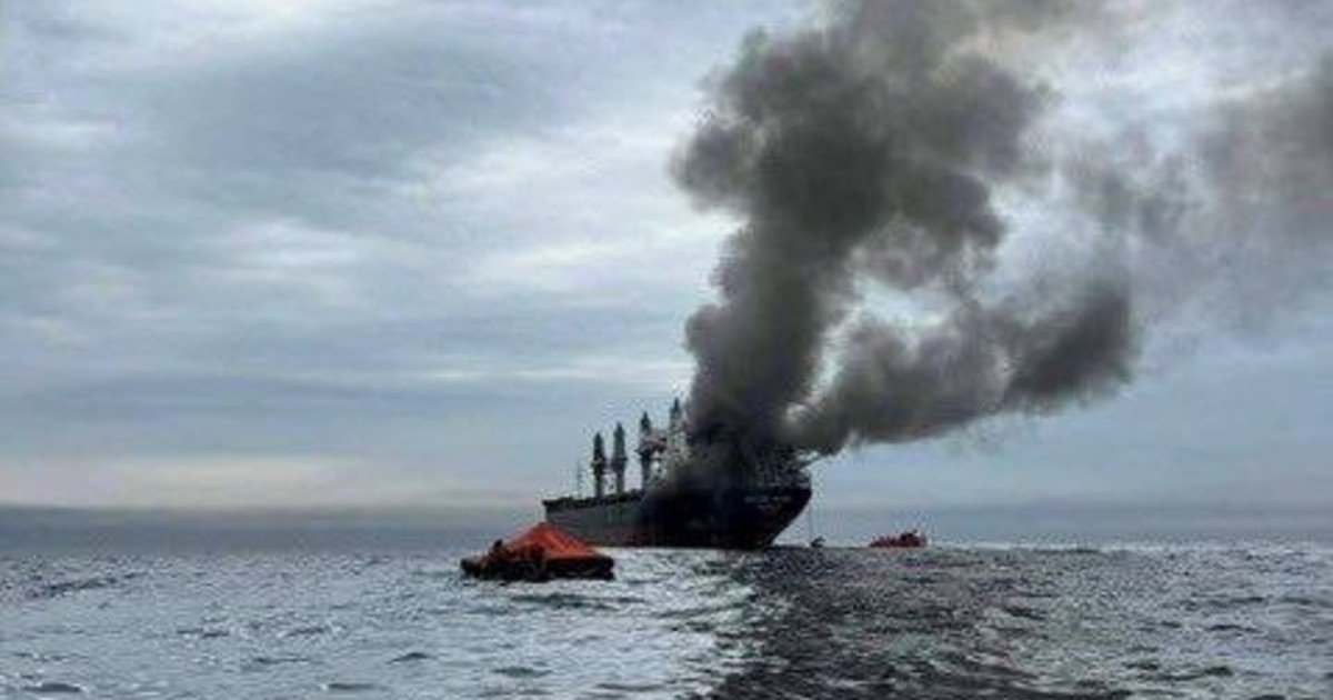 La soja sube en Chicago impulsada por el petróleo, pero la enorme oferta sudamericana amenaza el rally