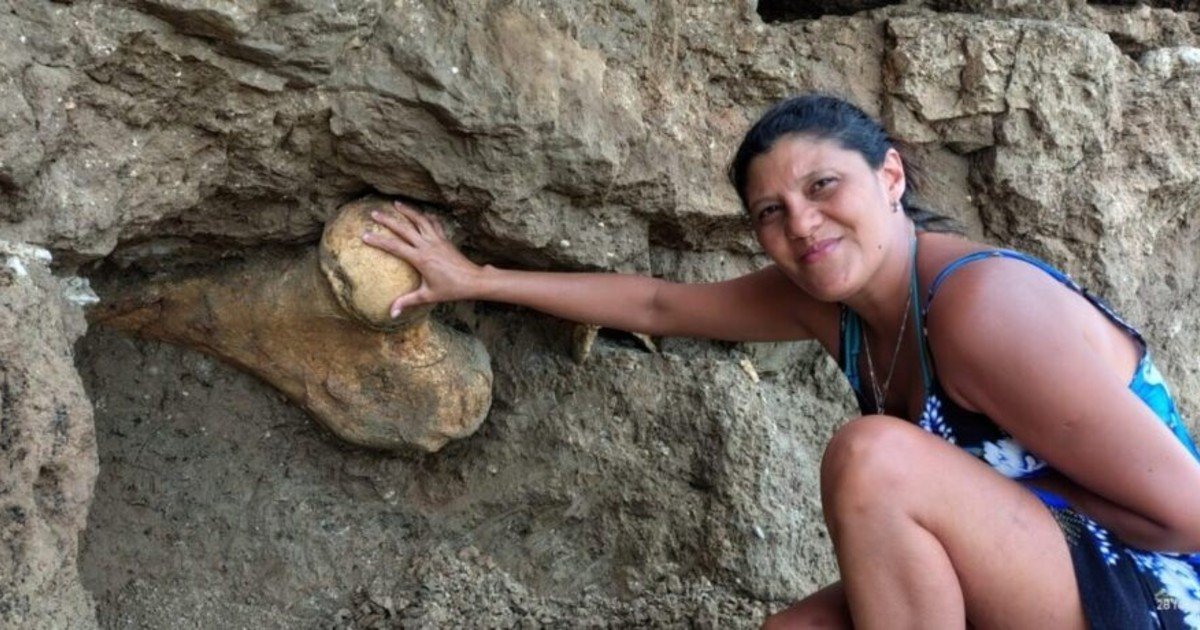 Sorpresa en Santa Clara del Mar: dos turistas que caminaban por la playa encontraron los restos de un gigante prehistórico