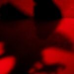 La guerra va mejor de lo que piensas