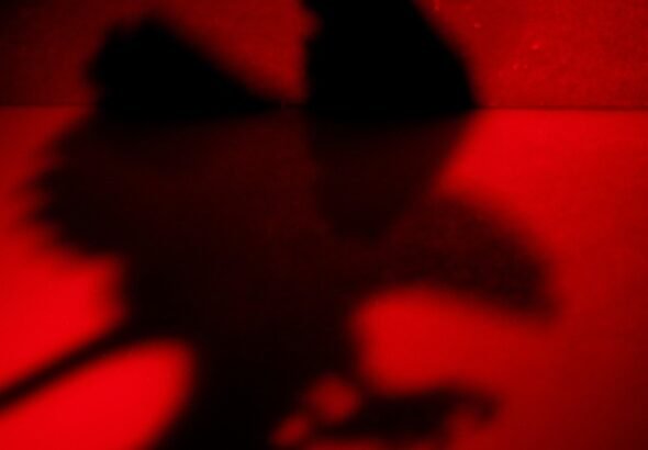 La guerra va mejor de lo que piensas