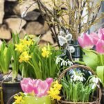 Nunca regales esta planta: atrae el fracaso y las peleas