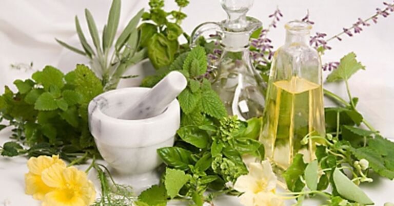 Artemisa enigmática: explora las misteriosas propiedades curativas de esta hierba poderosa