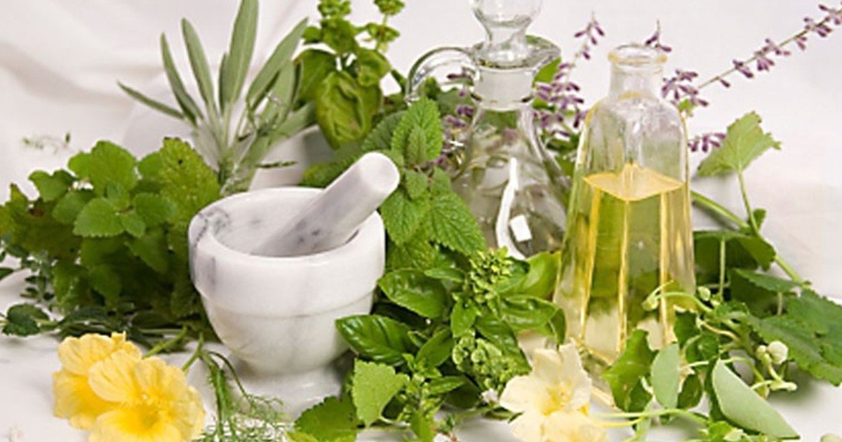 Artemisa enigmática: explora las misteriosas propiedades curativas de esta hierba poderosa