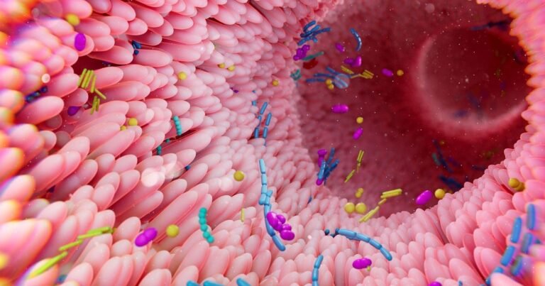 Investigadores no dan crédito: hallan miles de nuevas especies en el intestino de varios herbívoros