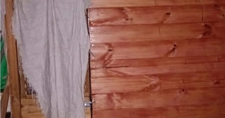 Rescatan a un nene de 11 años con autismo que estaba encerrado en una jaula de madera: detienen a su padre