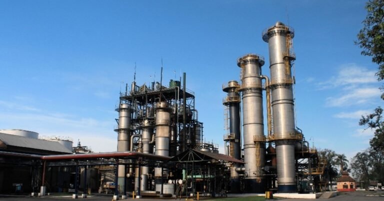 Biocombustibles: piden por una nueva ley en medio del alza de los combustibles por la guerra en Medio Oriente