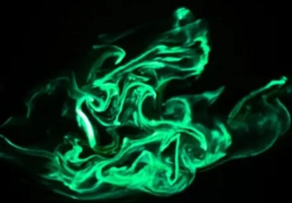 El increíble espectáculo luminoso de los gusanos de fuego en el agua