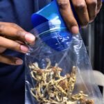 Estados Unidos abre la puerta a terapias con drogas psicodélicas para tratar enfermedades psiquiátricas