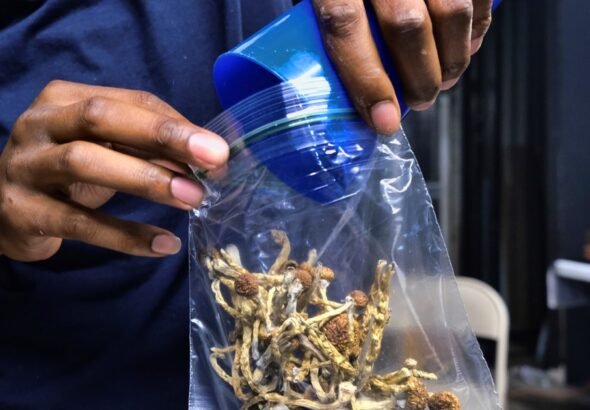 Estados Unidos abre la puerta a terapias con drogas psicodélicas para tratar enfermedades psiquiátricas