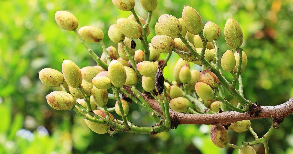 Cómo desatar el nudo de las inversiones: el caso de los proyectos que van de los 9 a los 200 millones de dólares